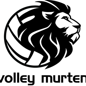 Club Logo TV Murten Volleyball