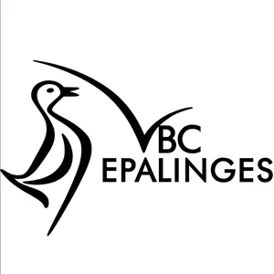 Club Logo VBC Epalinges